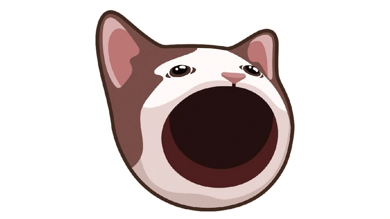 67f393f69f01.png